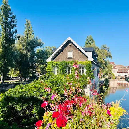 Le Balcon Fleuri Centre Robertsau Tram Jardiniers Appartamento *