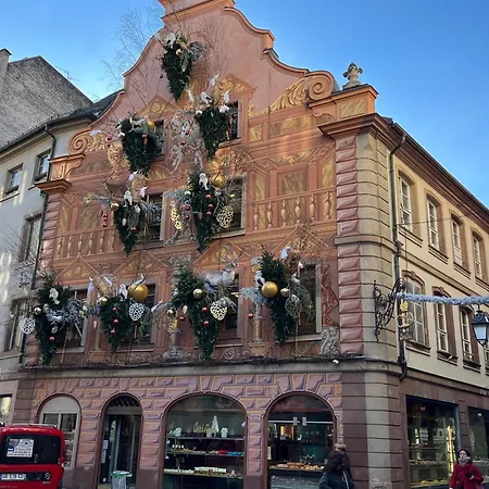 Le Balcon Fleuri Centre Robertsau Tram Jardiniers Strasburgo
