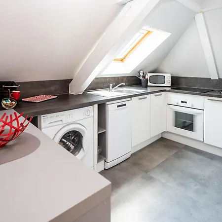 Appartamento Le Balcon Fleuri Centre Robertsau Tram Jardiniers Strasburgo
